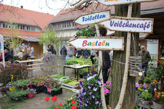 Impressionen vom Veilchenmarkt in Naunhof