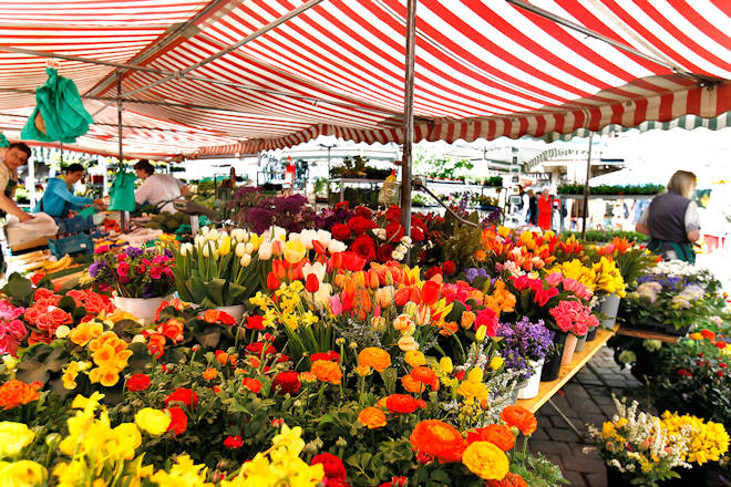 Neben Blumen gibt es beim Frühlingsmarkt in Tübingen weitere klassische Marktprodukte wie Wurst- und Käsespezialitäten, Tee, Honig und Gewürze sowie Seifen und Liköre.