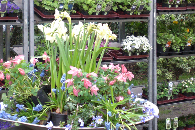 Pflanzen für Heim und Garten auf dem Frühlings- und Ostermarkt in Hamburg Bergedorf