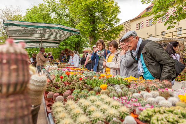 Impressionen von den Gartentagen mit Frühlings- und Ostermarkt auf Schloss Guteneck