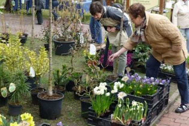 Impressionen von der Gartenträume Ausstellung mit Ausflugslust in Bad Nenndorf