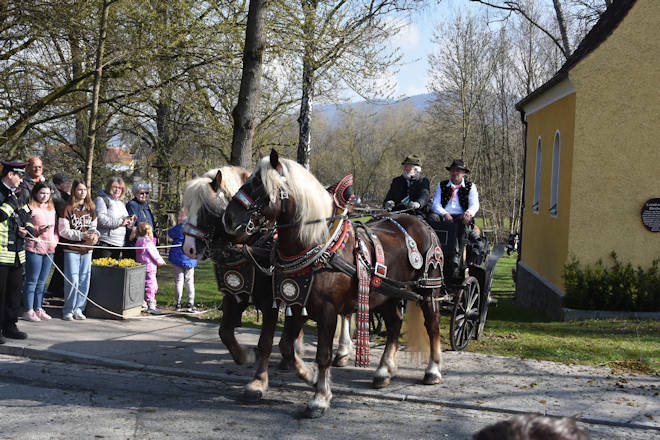 Impressionen vom Leonhardi-Ritt in Furth im Wald