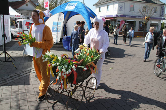 Impressionen vom Frühlingserwachen in Borken (Hessen)